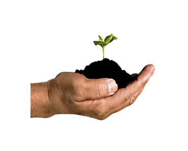 STUDIO TECNICO DR. MAURO COSTANTINO