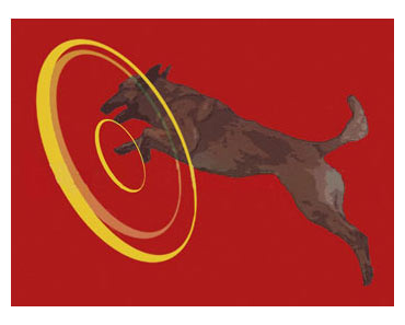 L’ ANELLO DI RE SALOMONE