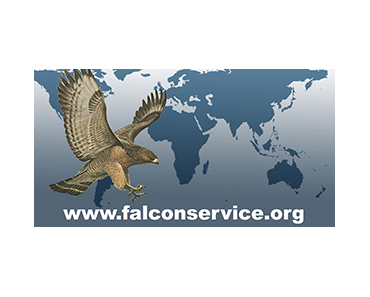 FALCON SERVICES & SECURITY MANAGEMENT