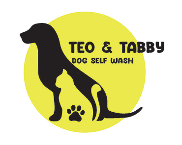 TEO & TABBY