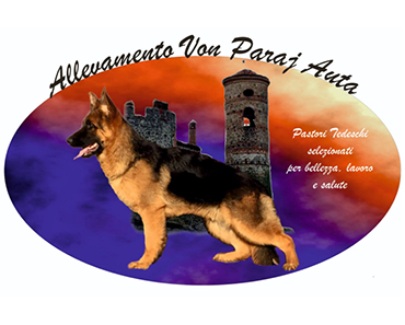 Allevamento del Cane Pastore Tedesco dell’Auranova e Von Paraj Auta