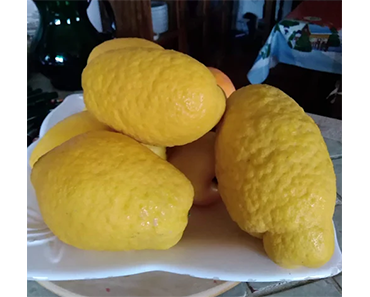 Bed And Breakfast Punto de Vista