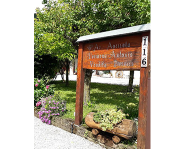 AZIENDA AGRICOLA TORMENA ANTONIO