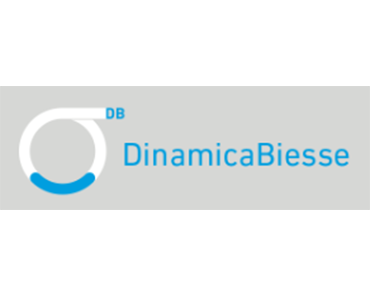 DINAMICA BIESSE